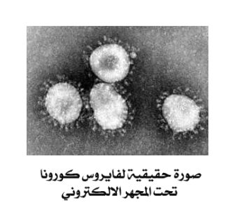 photo_2020-03-06_23-04-33